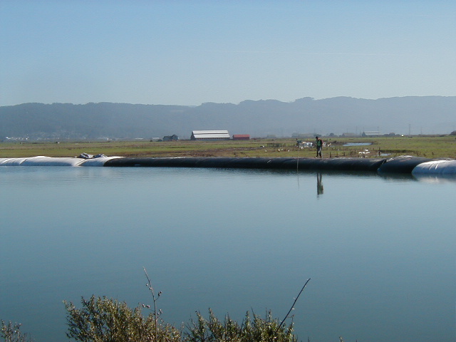 Arcata, CA 2004