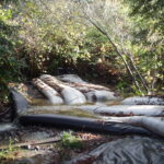 Carlotta, CA 2004 – Fish Ladder