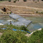 Gilroy, CA 2002