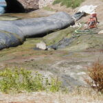 Gilroy, CA 2002