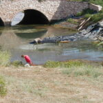 Gilroy, CA 2002