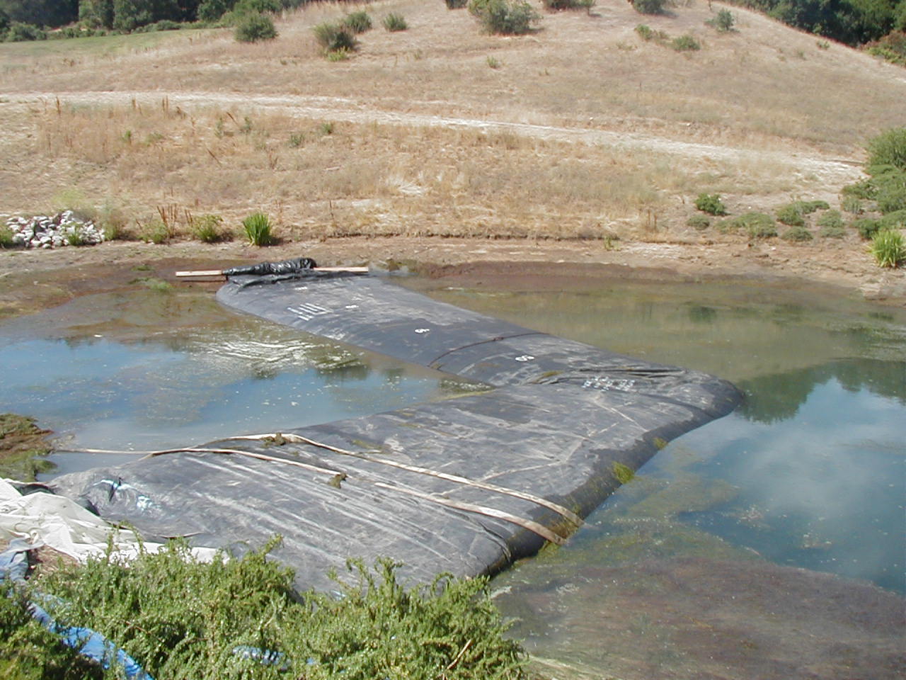 Gilroy, CA 2002