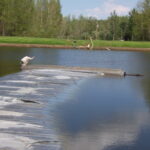 Alberta, Canada 2005