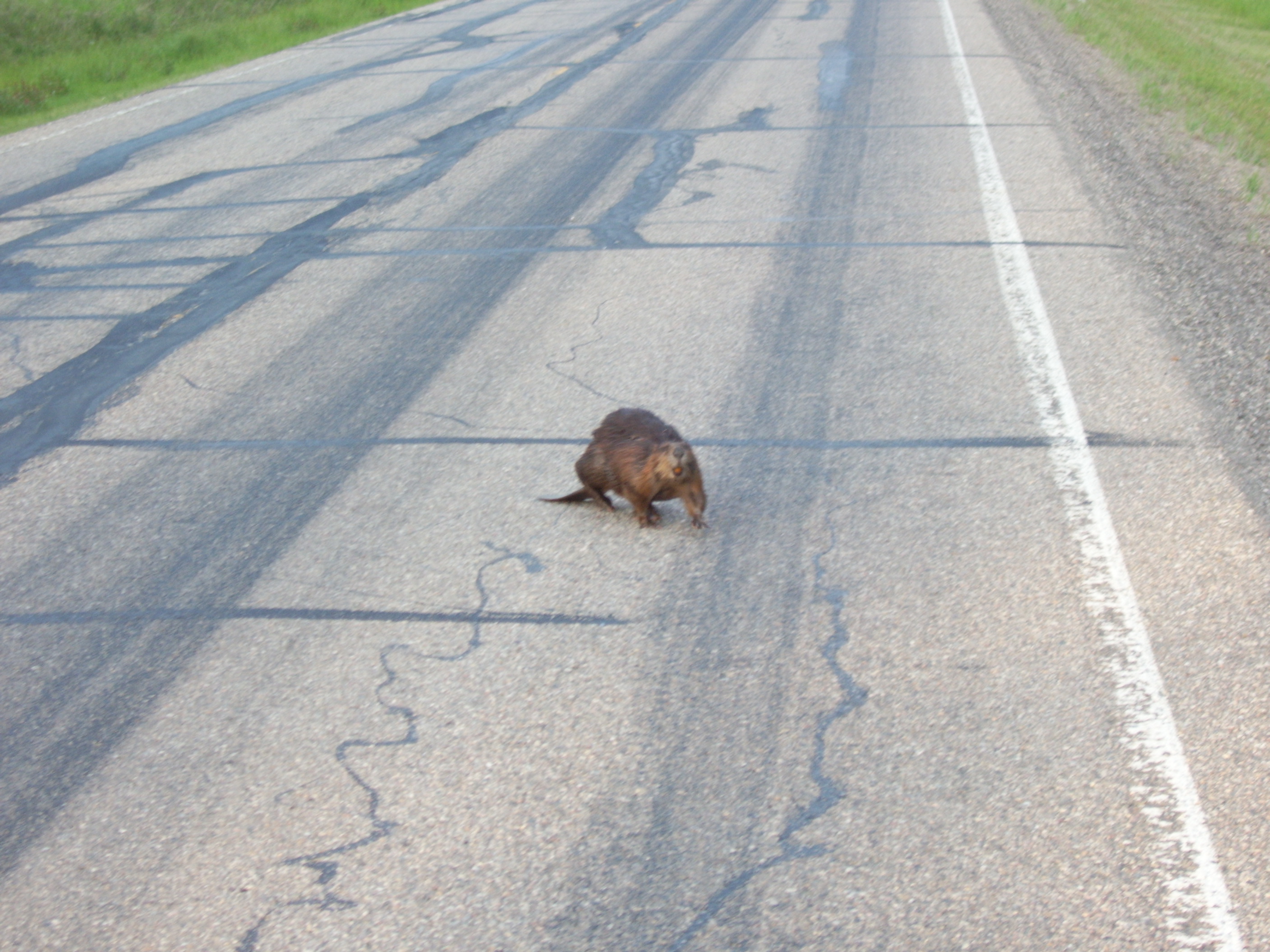 Alberta, Canada 2005