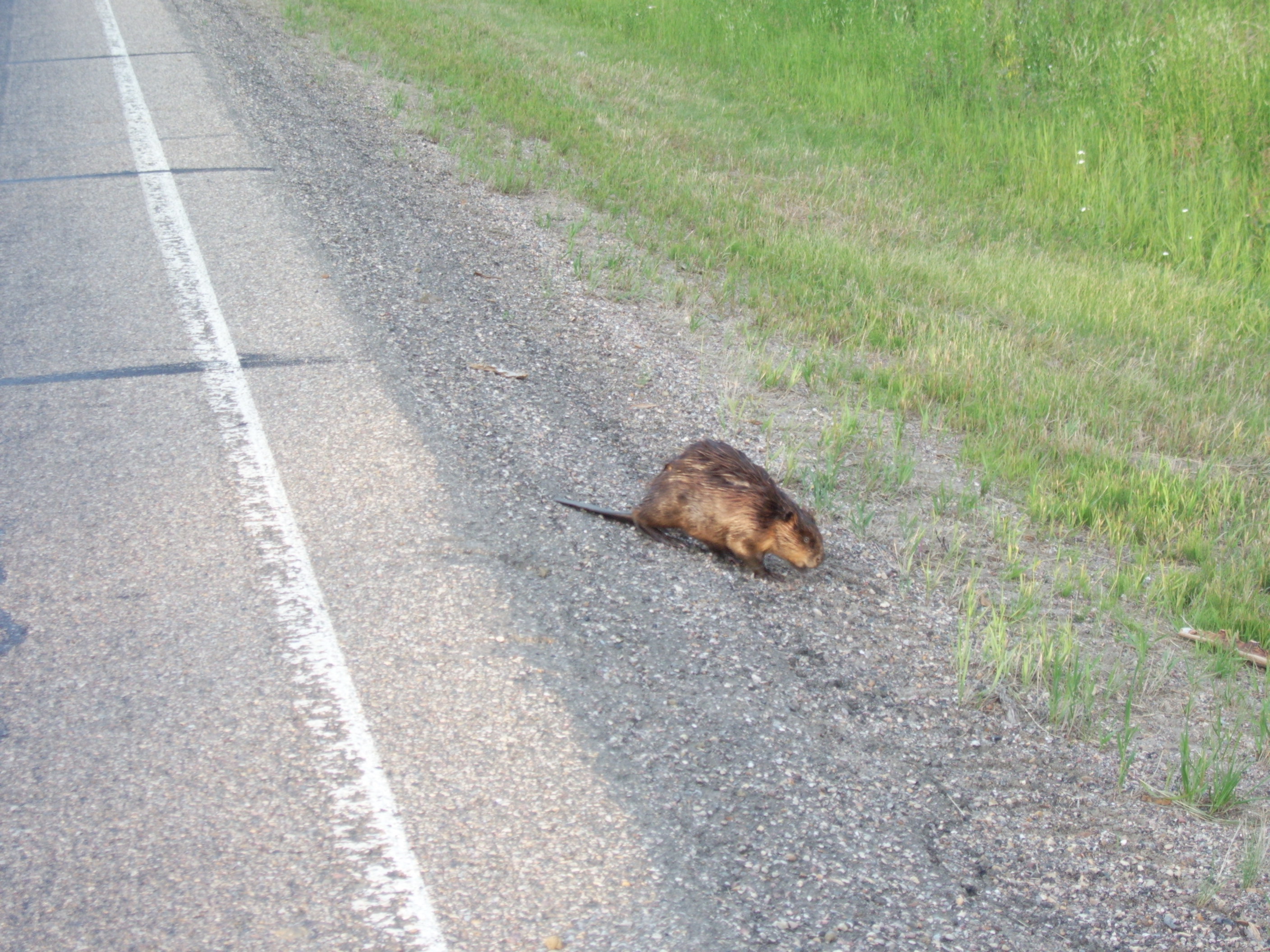 Alberta, Canada 2005