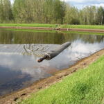 Alberta, Canada 2005