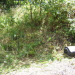 Ferndale, CA 2005