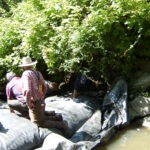 Ferndale, CA 2005