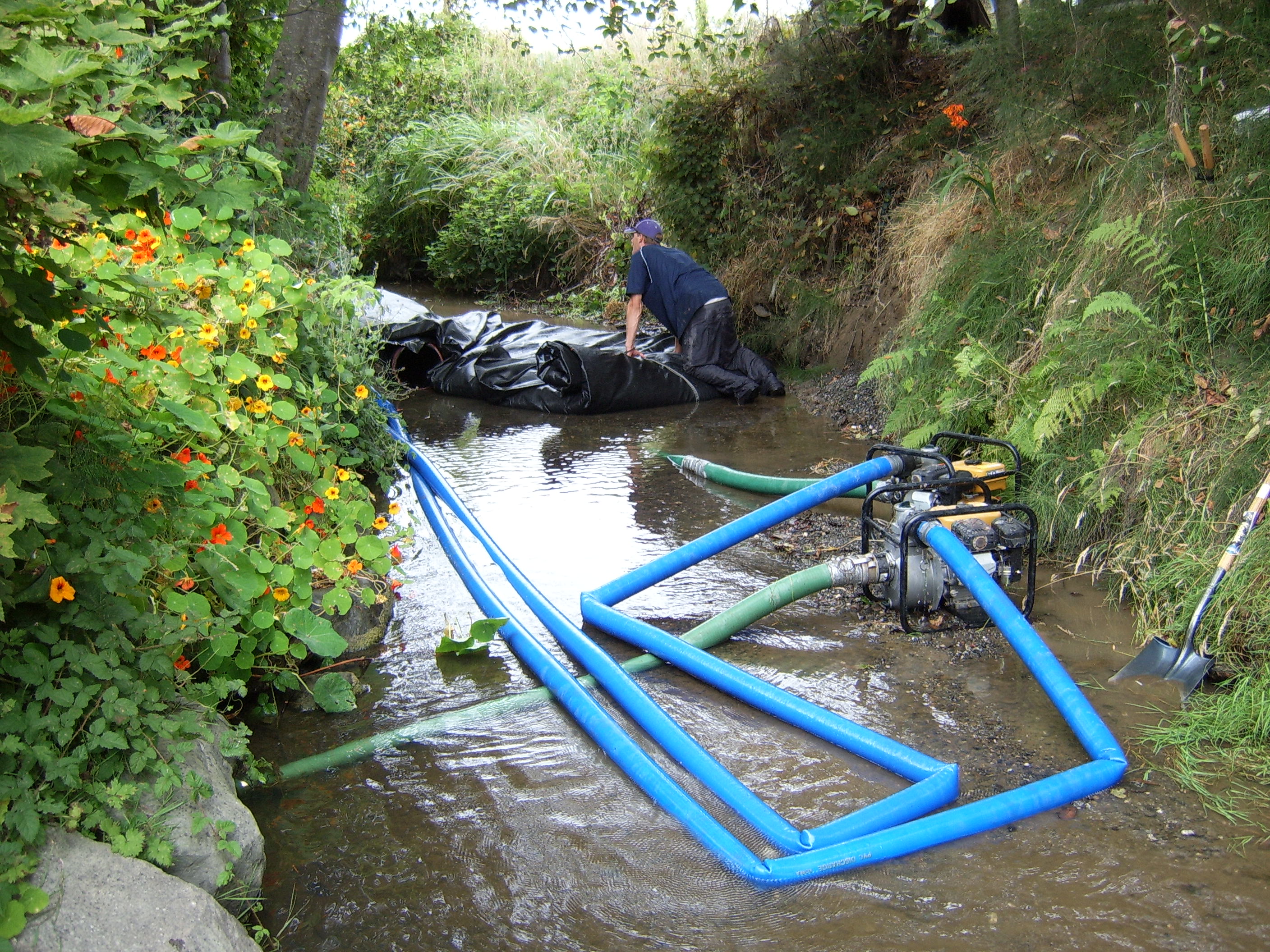 Ferndale, CA 2005
