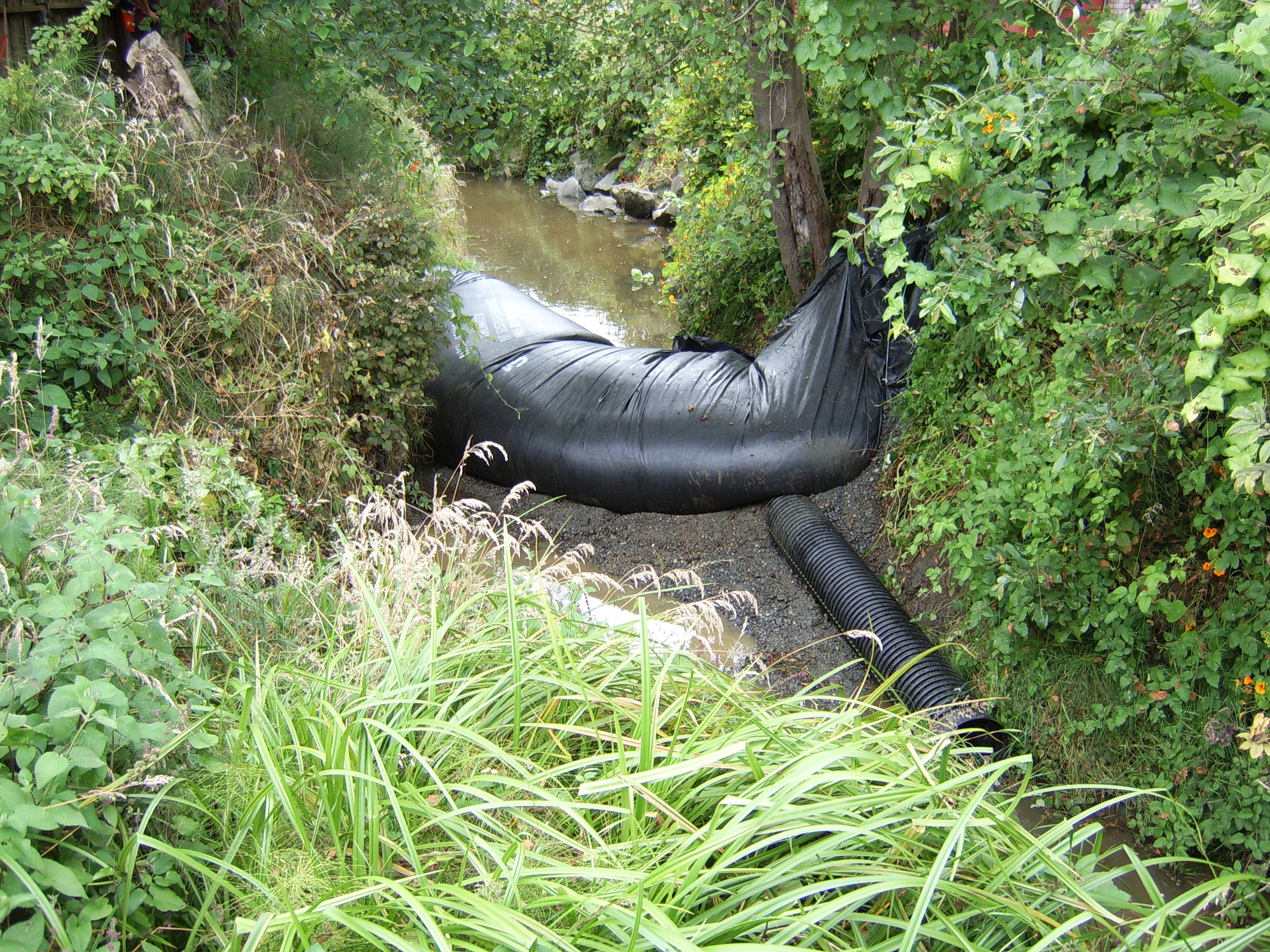 Ferndale, CA 2005