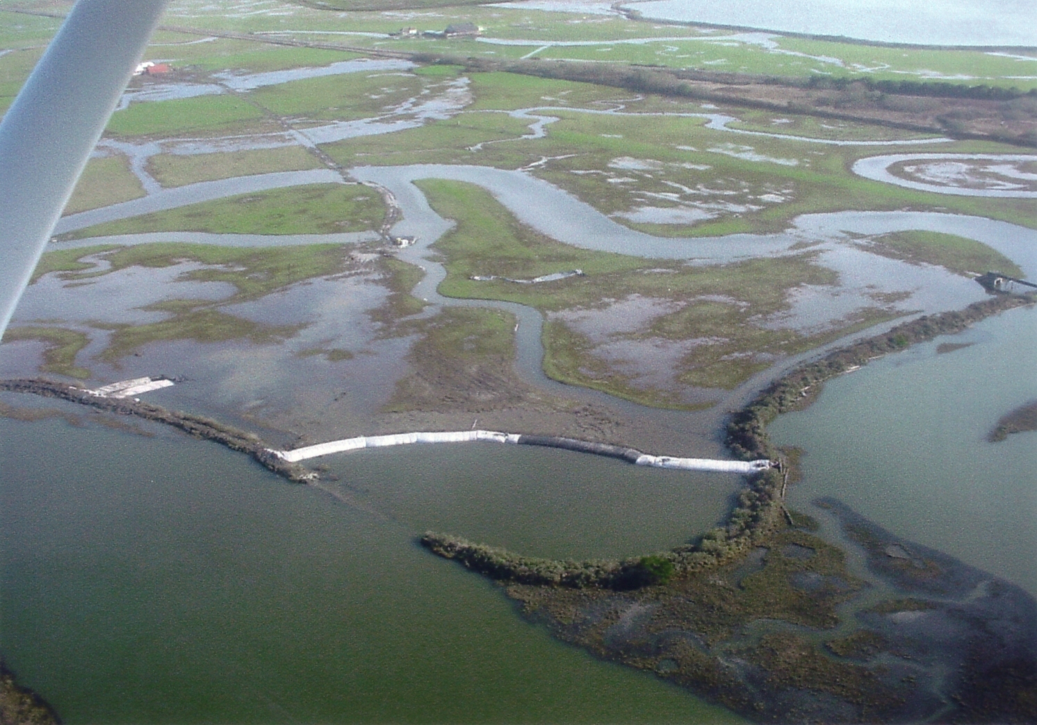 Arcata, CA 2004