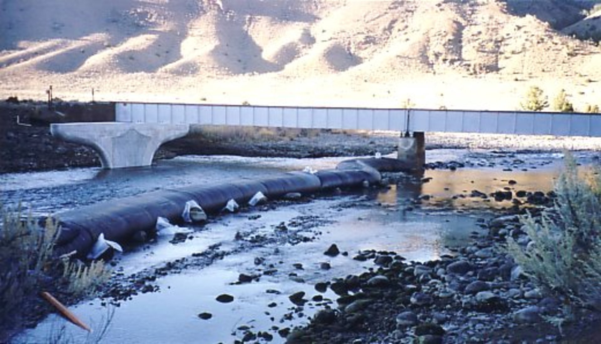 Cody, WY 2002