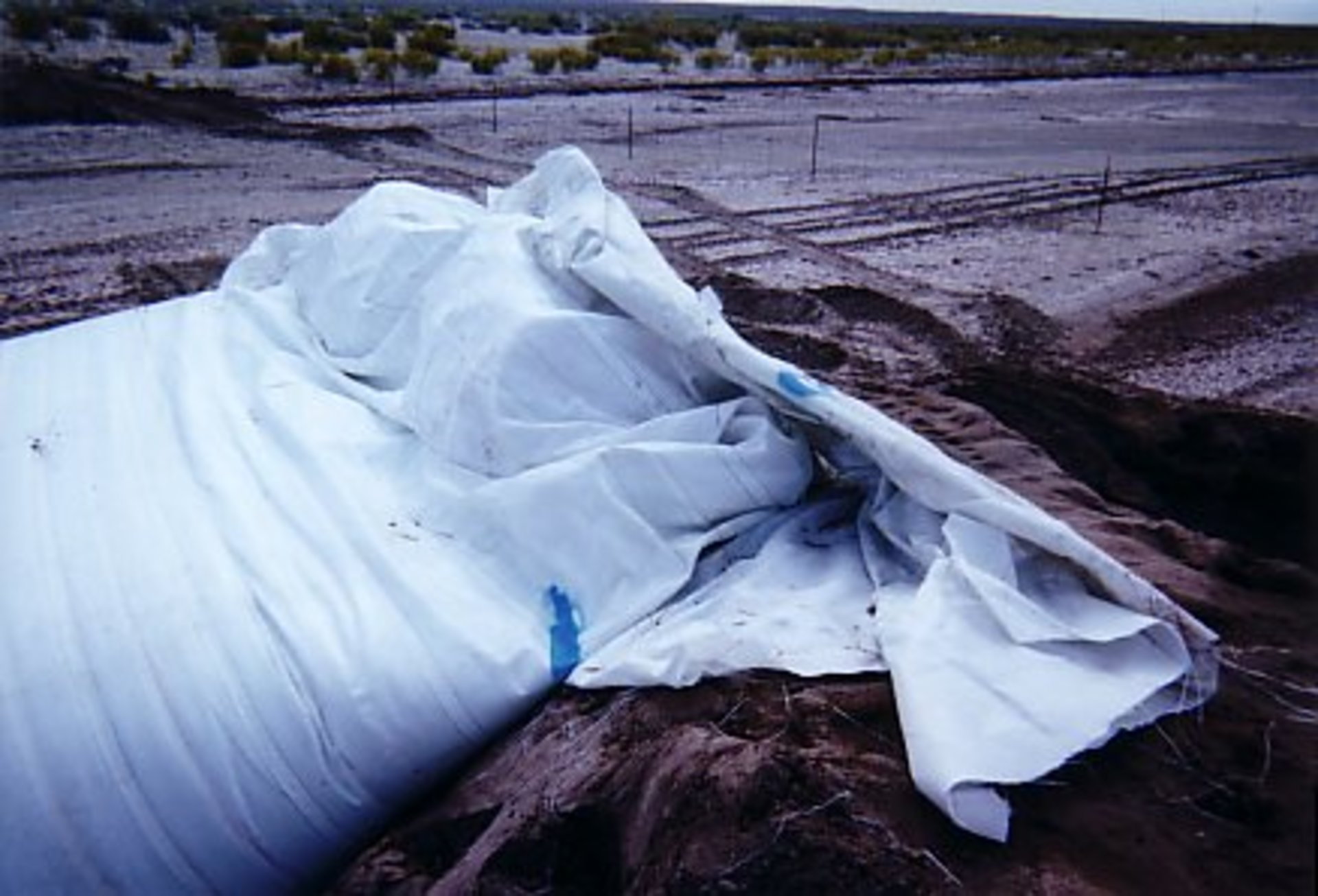 Holbrook, AZ 2002