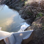 Kern River, CA 2007