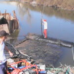 Kern River, CA 2007