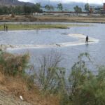 Lake Elsinore, CA 2006