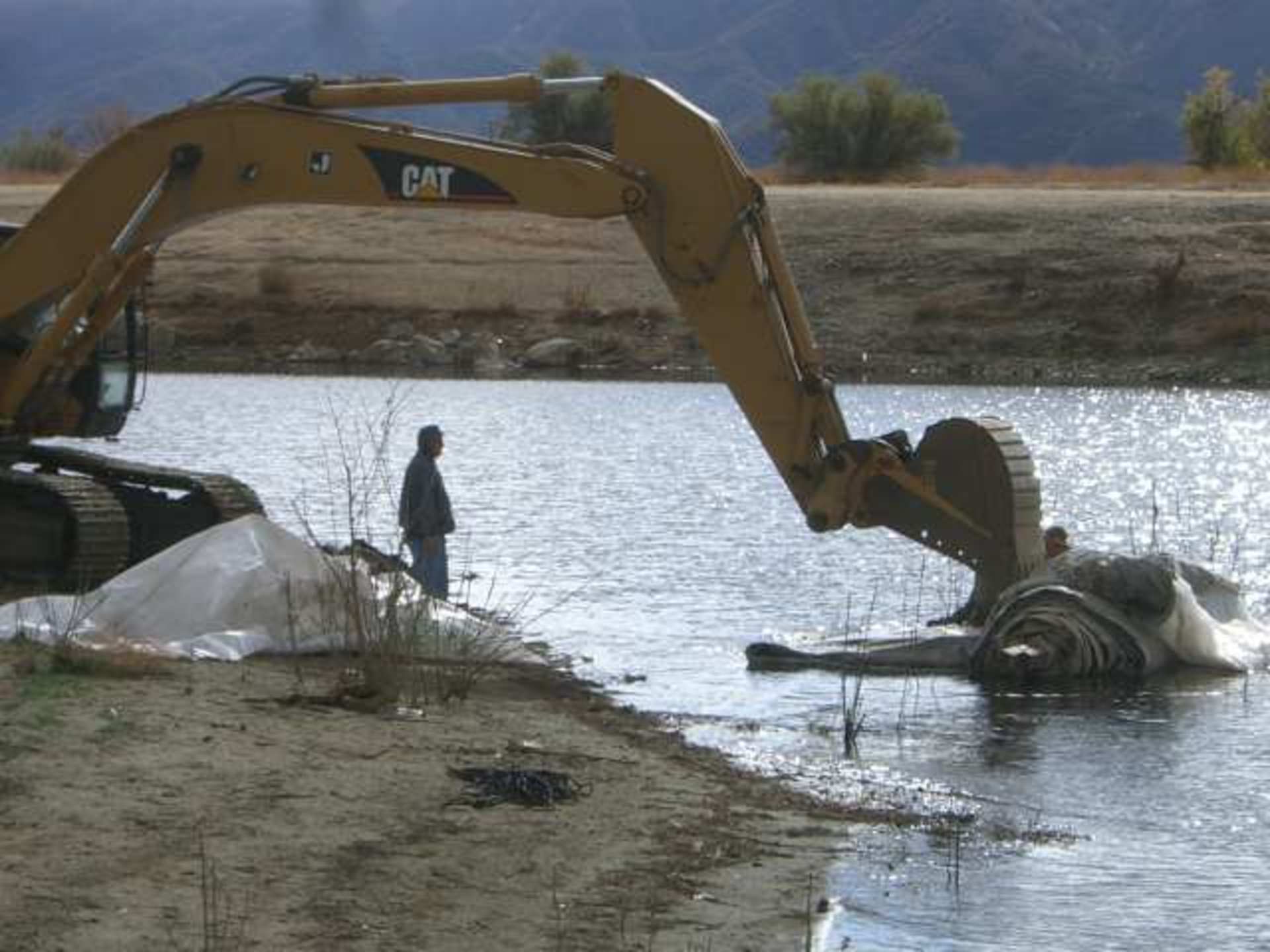 Lake Elsinore, CA 2006