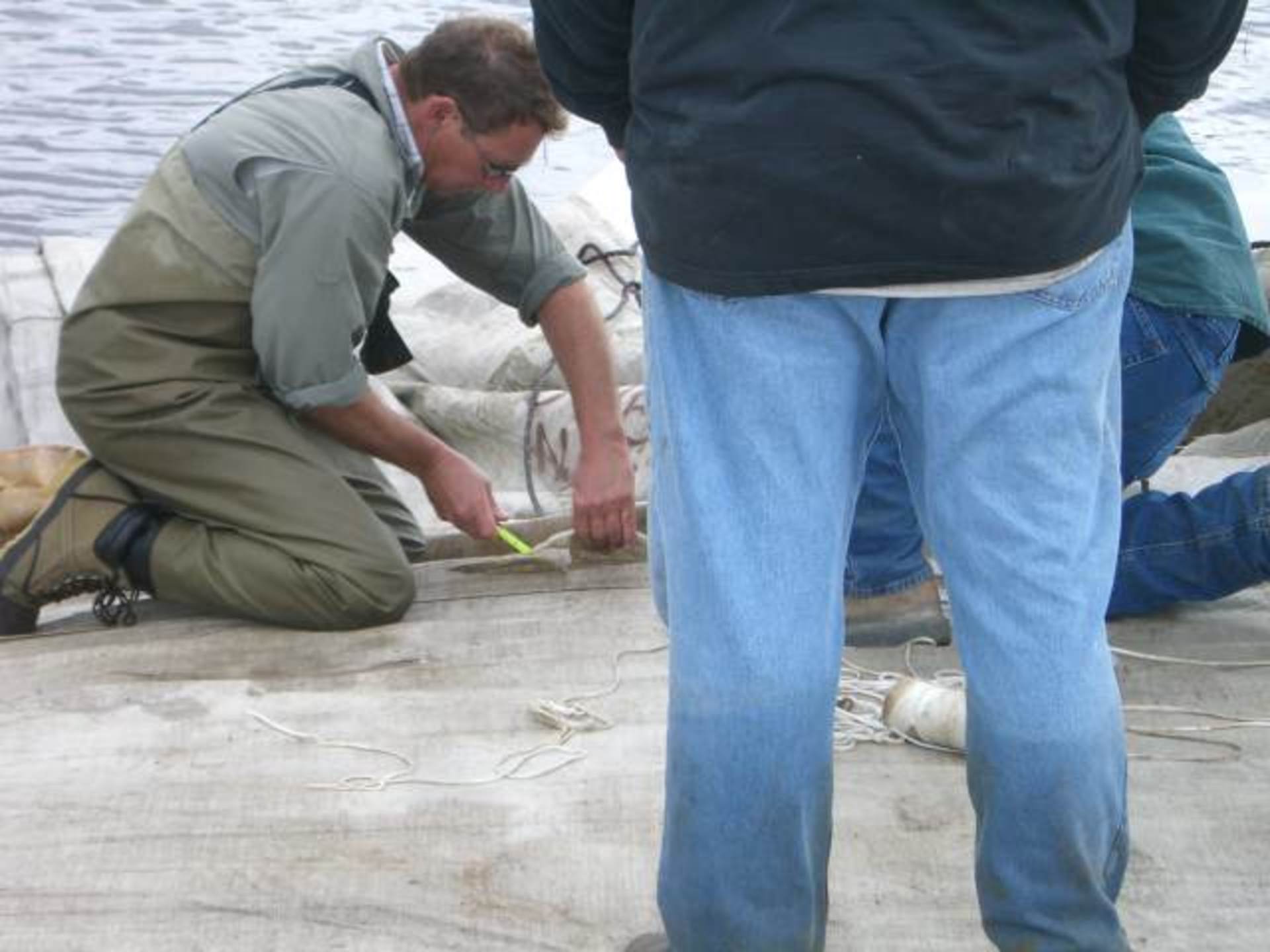 Lake Elsinore, CA 2006