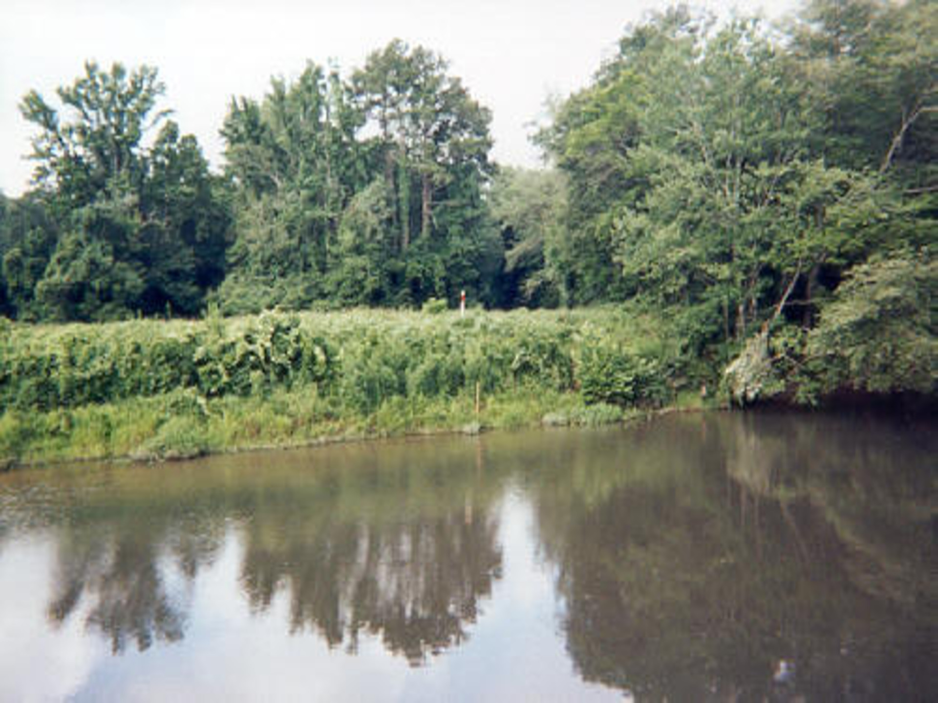 McComb, MS 2000