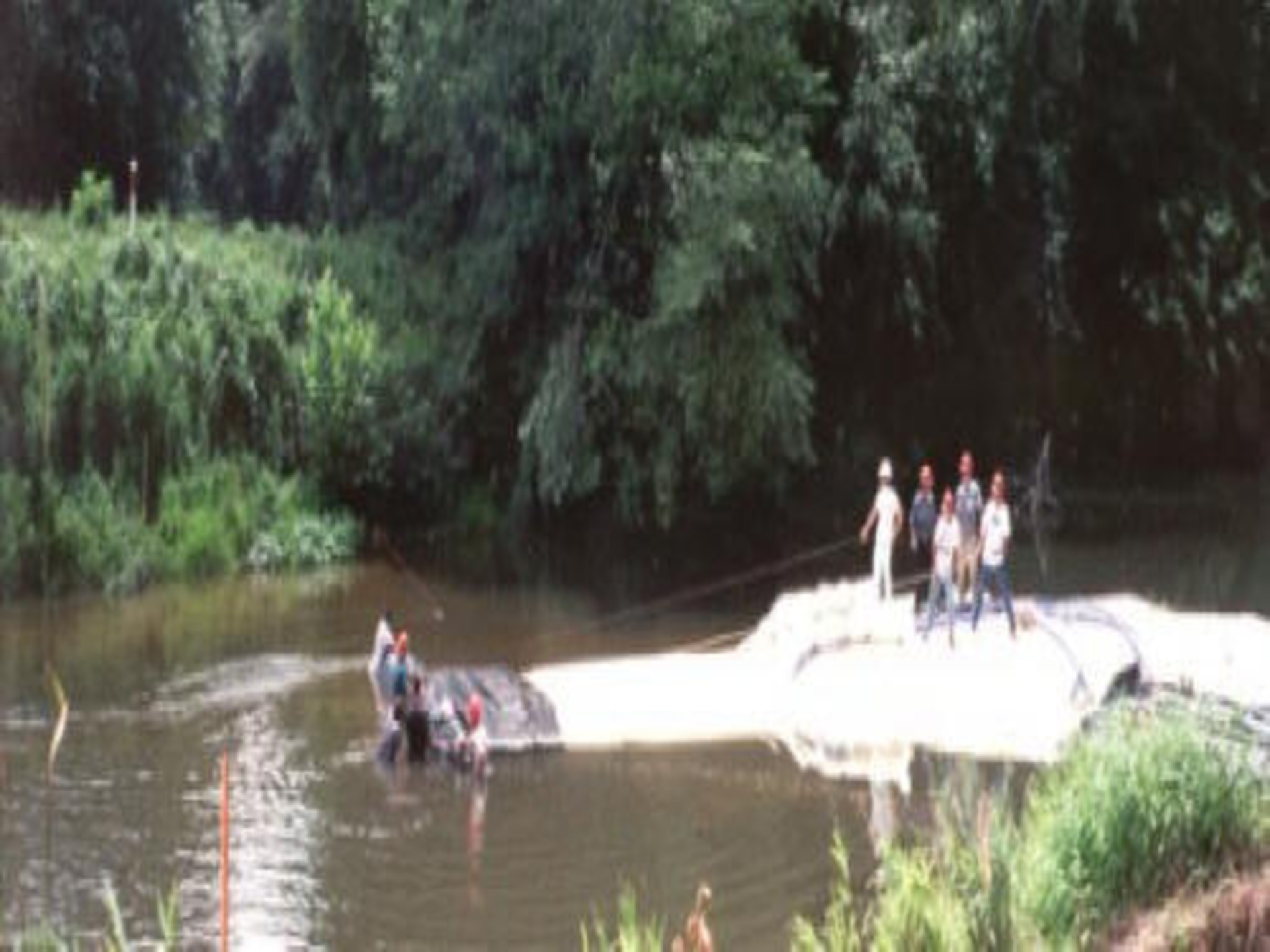 McComb, MS 2000