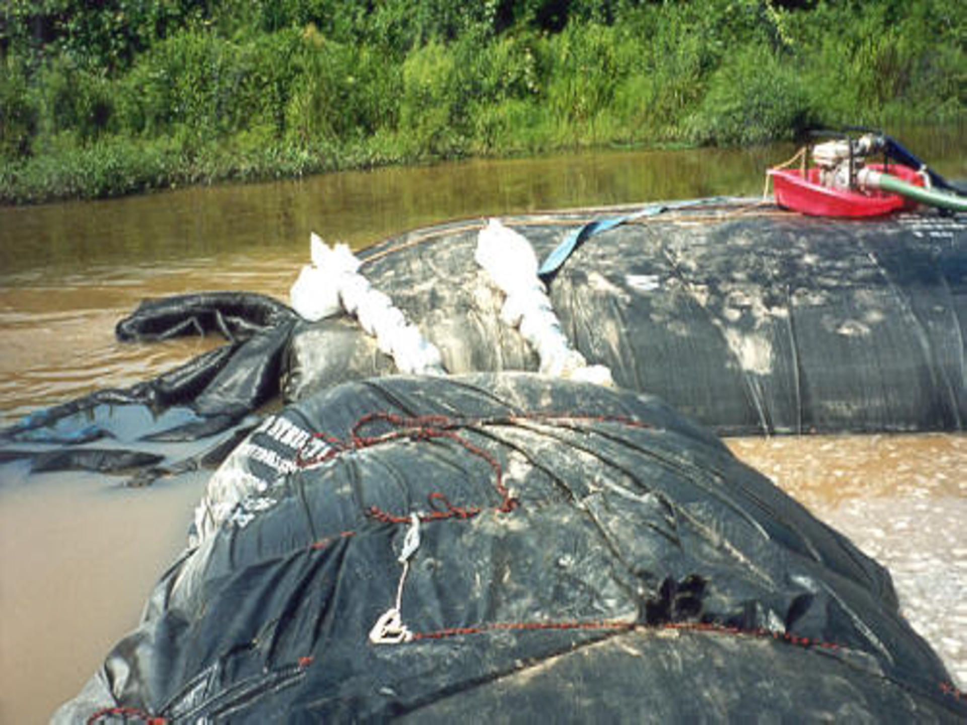 McComb, MS 2000