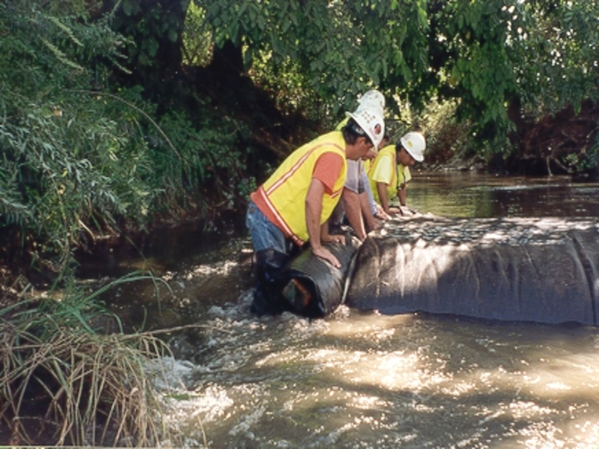 Lincoln, CA 2000