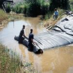 Lincoln, CA 2000 – Bridge