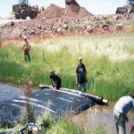 Lincoln, CA 2000 – Bridge