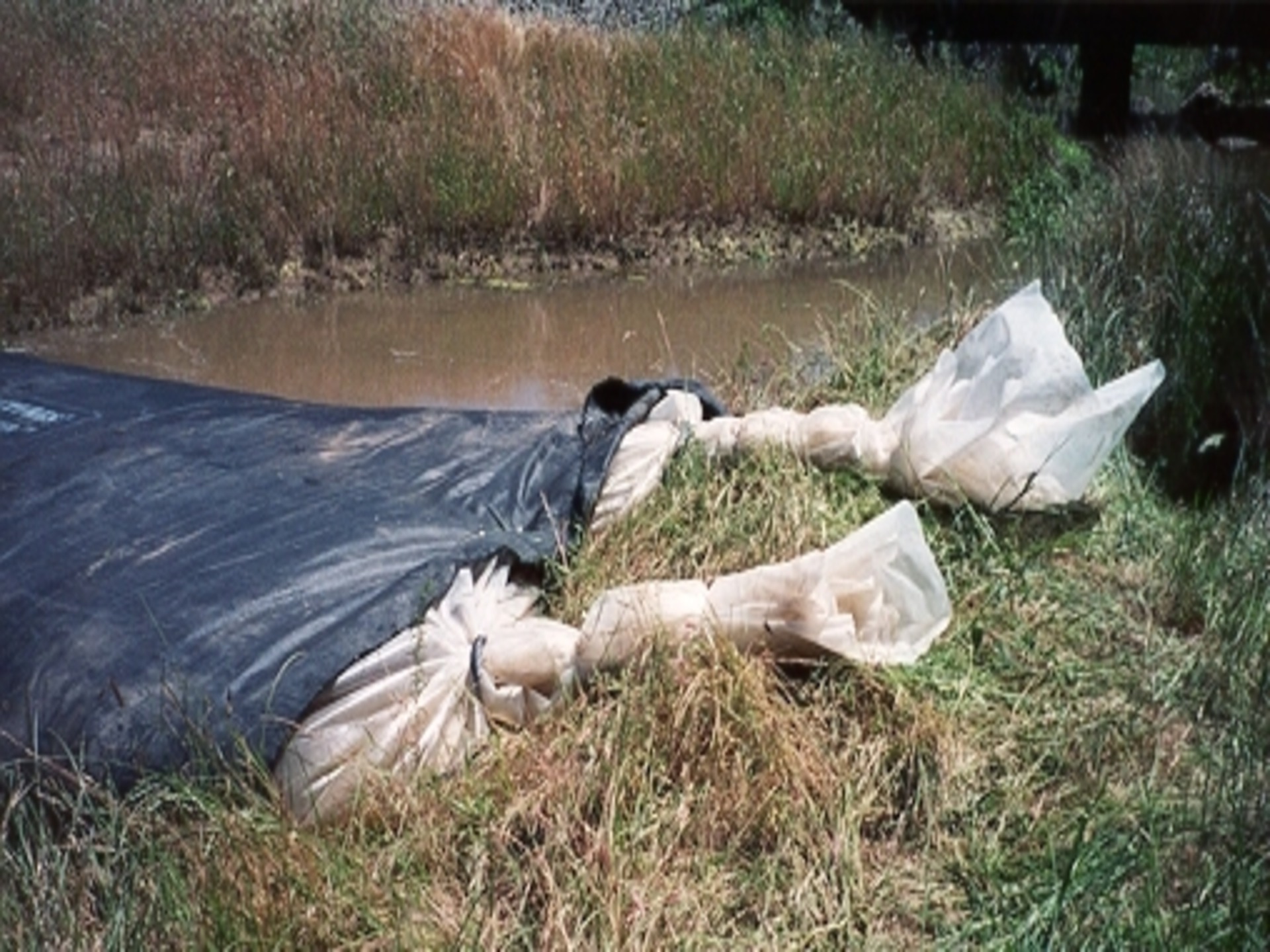Lincoln, CA 2000 – Bridge