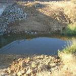 Davis, CA 2006