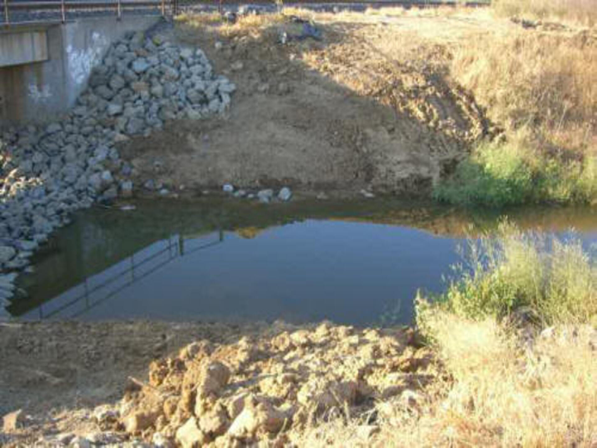 Davis, CA 2006
