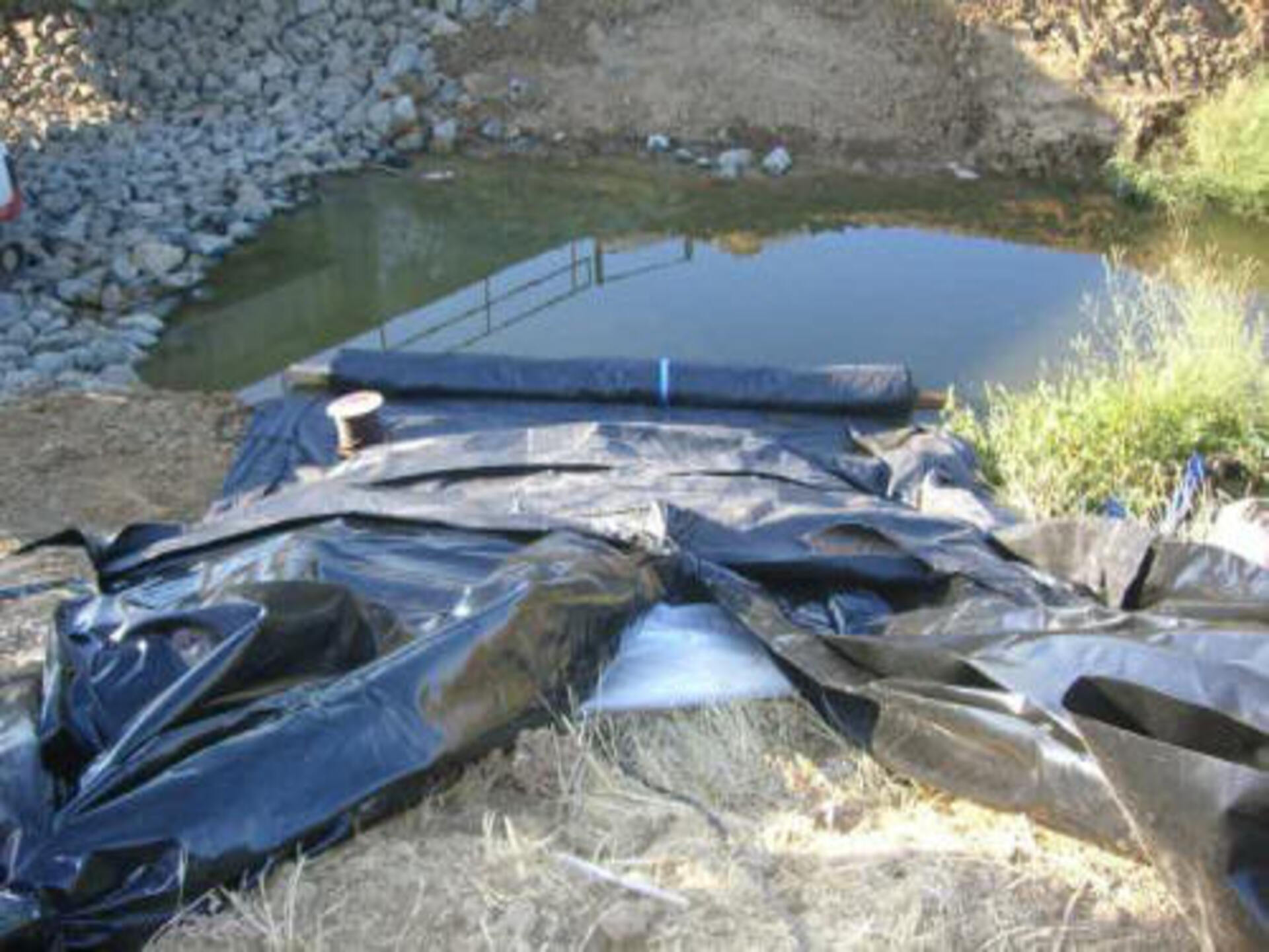 Davis, CA 2006