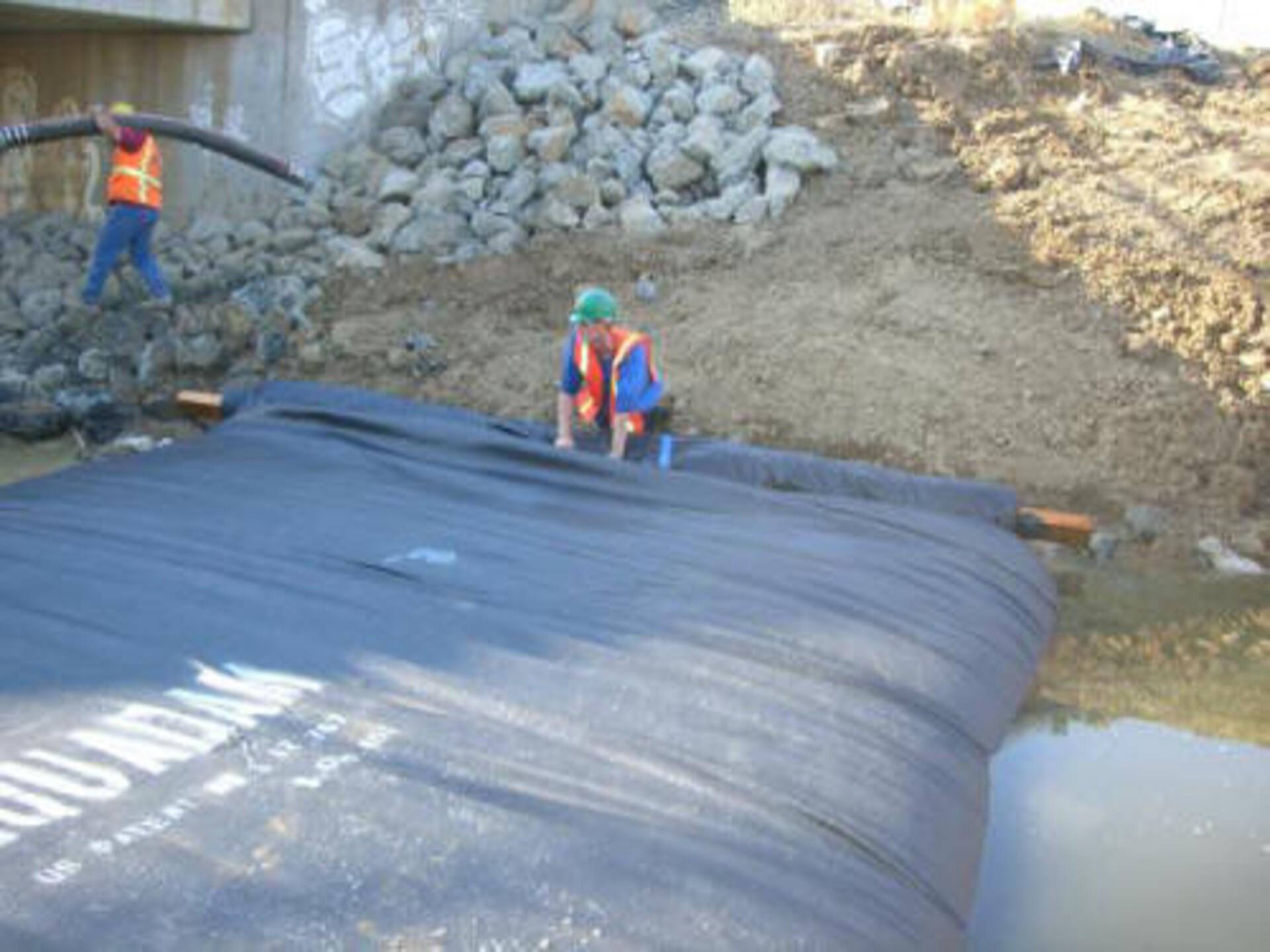 Davis, CA 2006