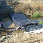 Davis, CA 2006