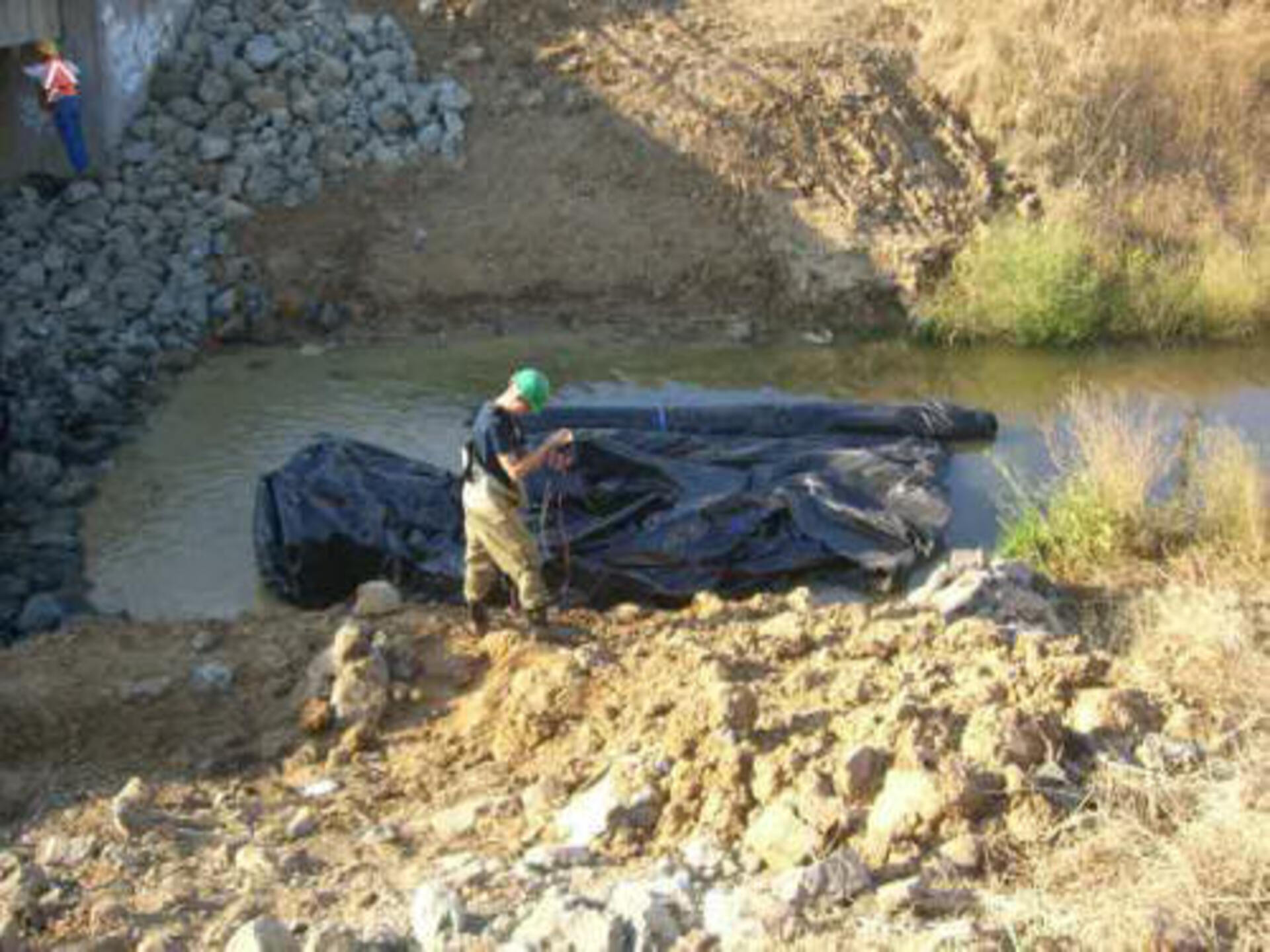 Davis, CA 2006