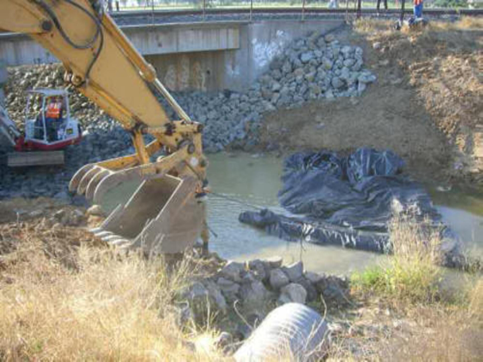 Davis, CA 2006