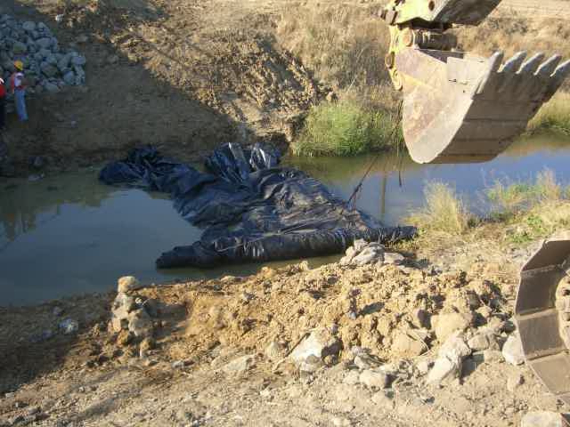 Davis, CA 2006