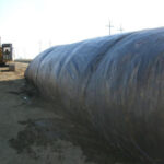 Davis, CA 2006