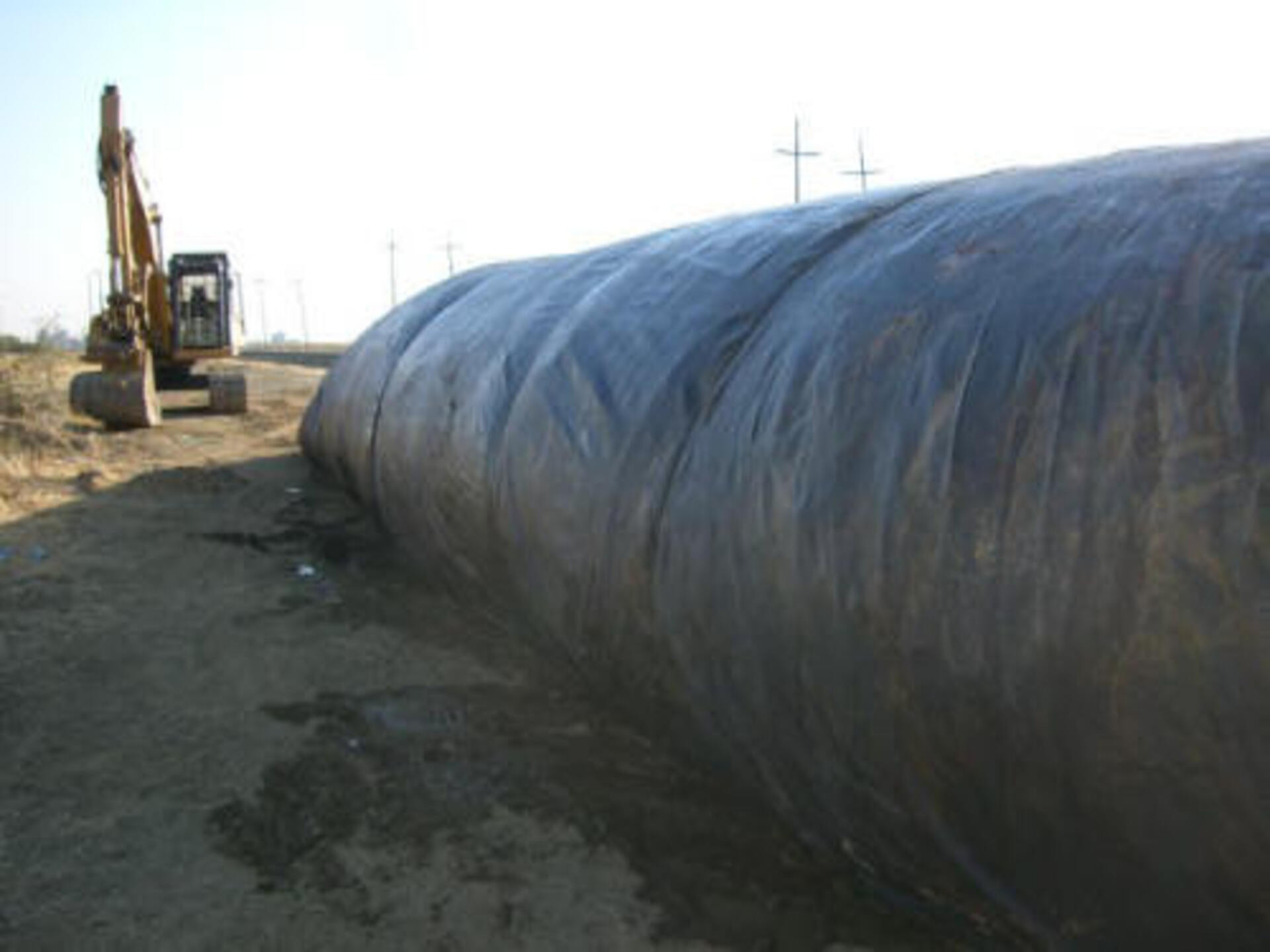 Davis, CA 2006