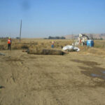 Davis, CA 2006
