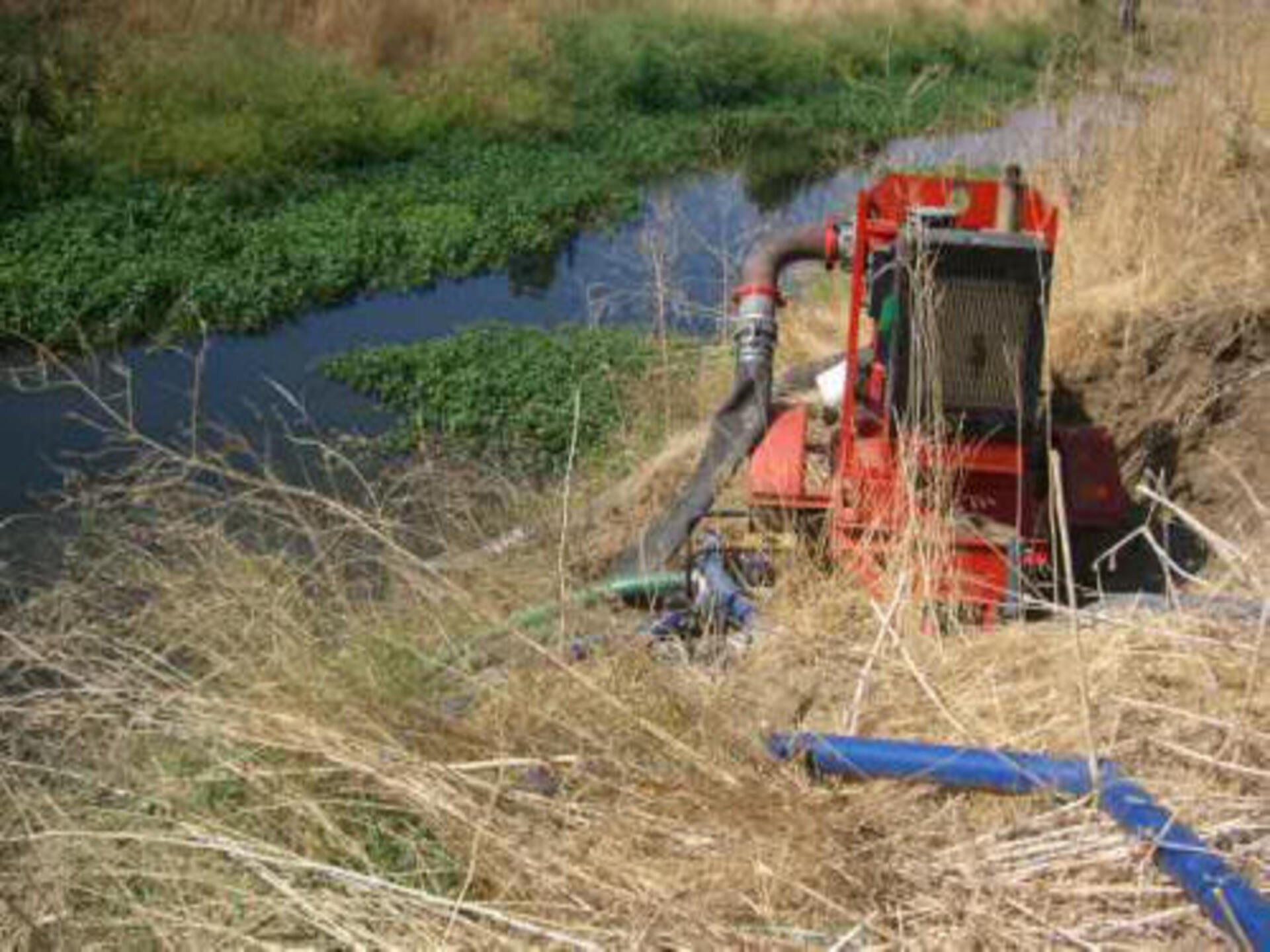Davis, CA 2006