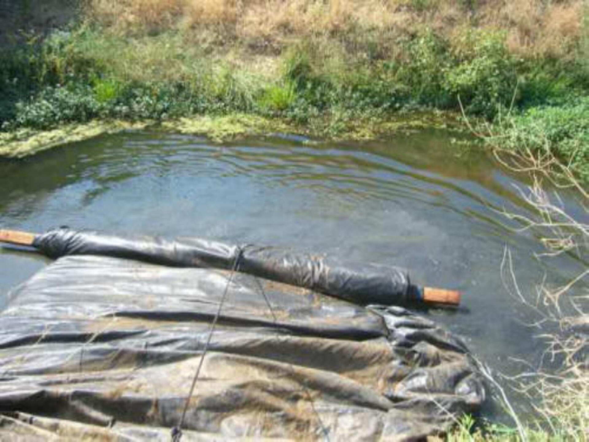 Davis, CA 2006