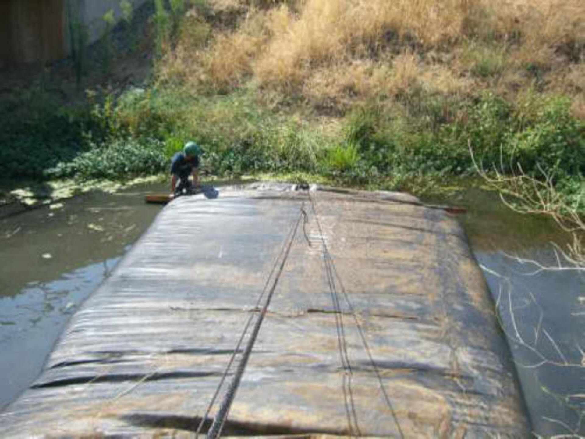 Davis, CA 2006