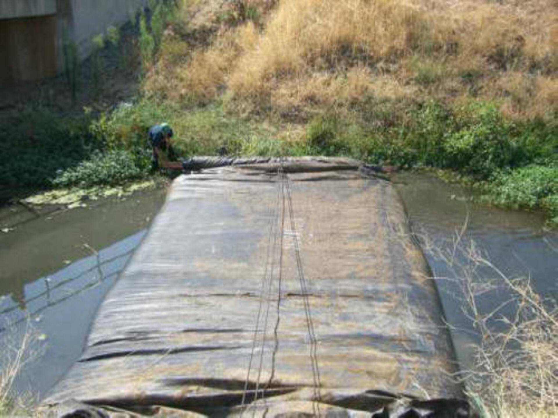 Davis, CA 2006