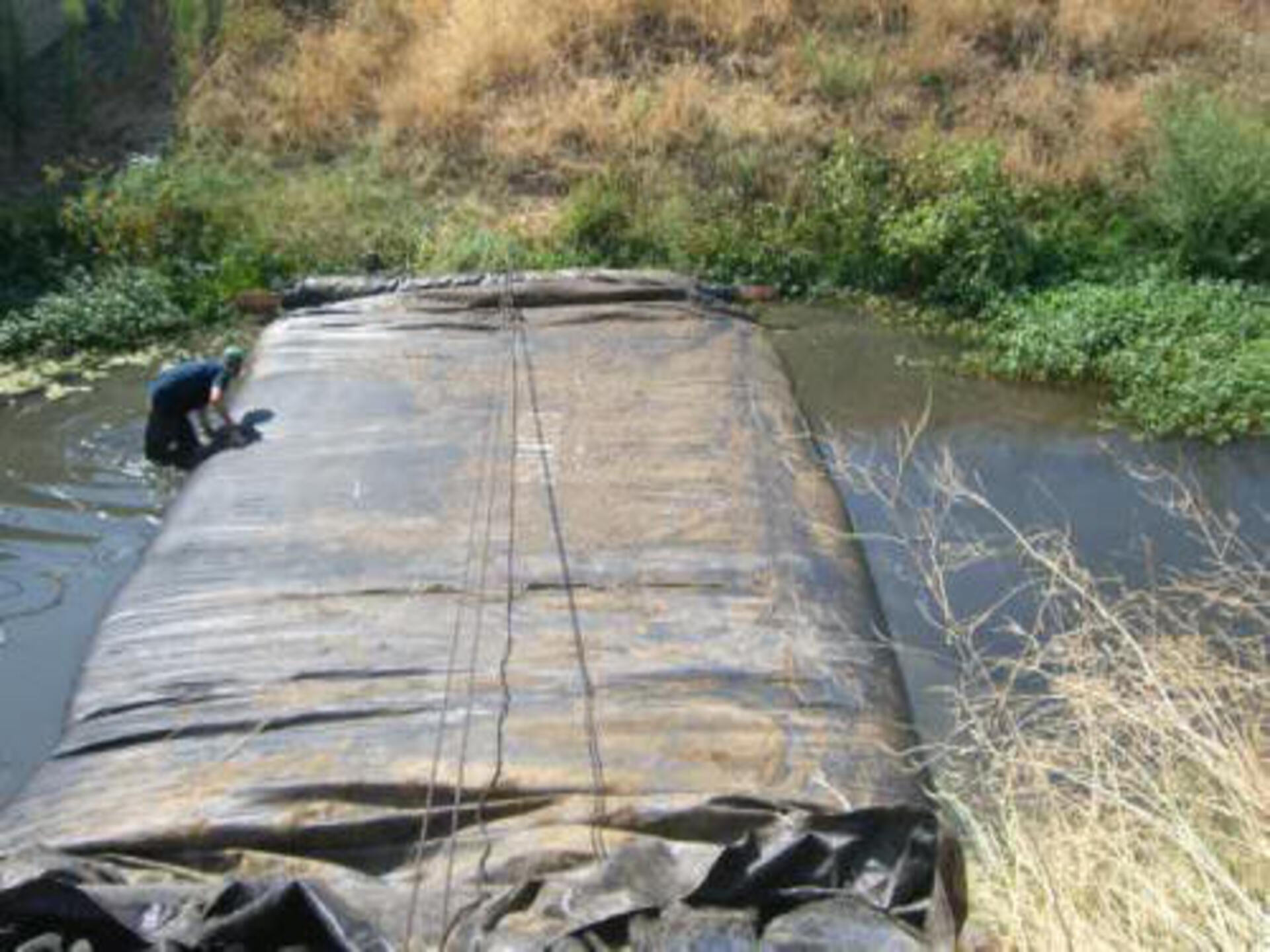 Davis, CA 2006
