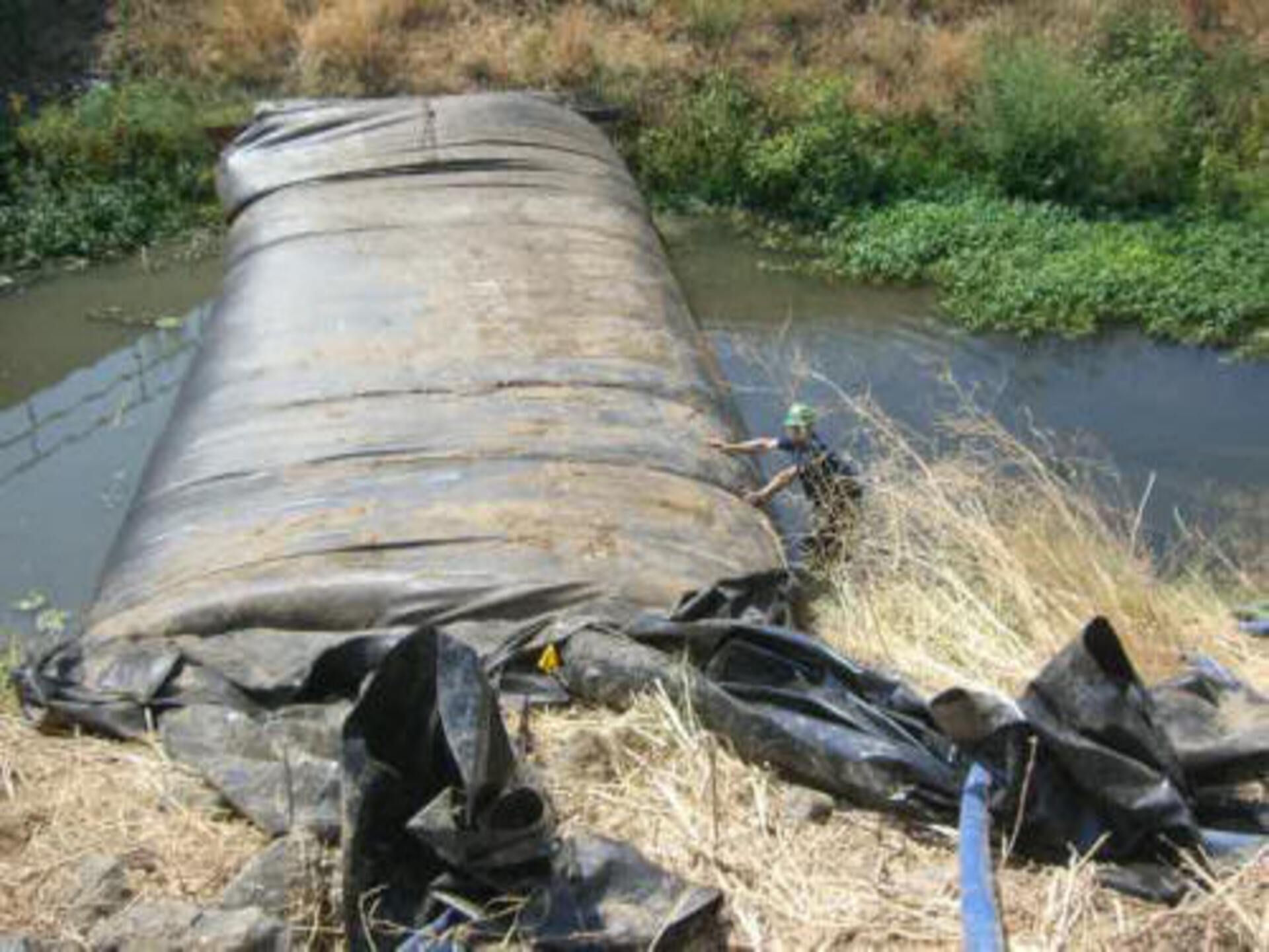 Davis, CA 2006