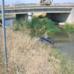 Davis, CA 2006