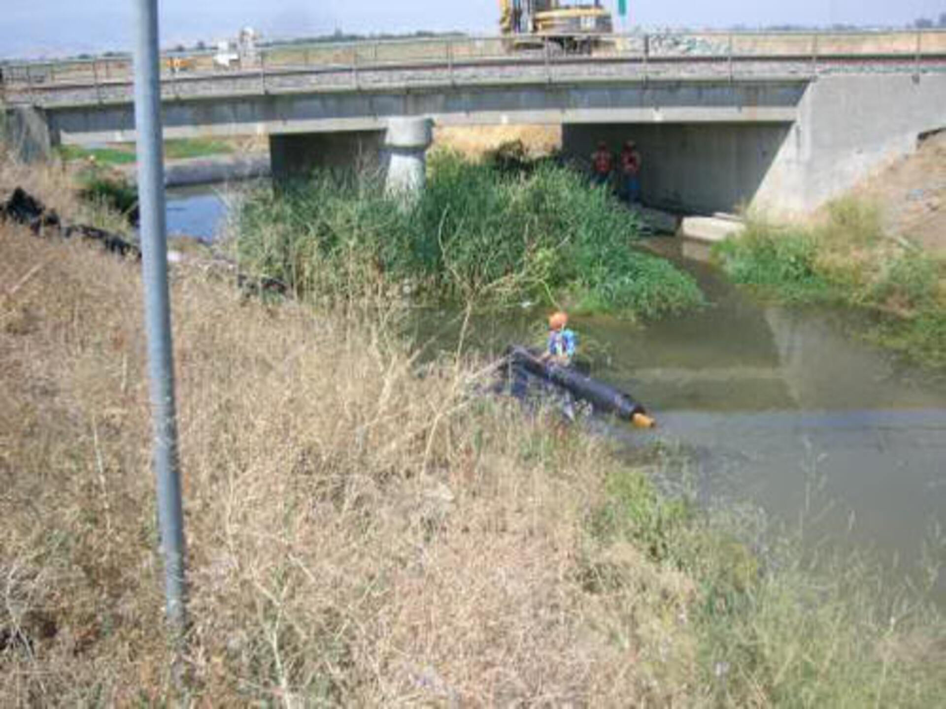 Davis, CA 2006