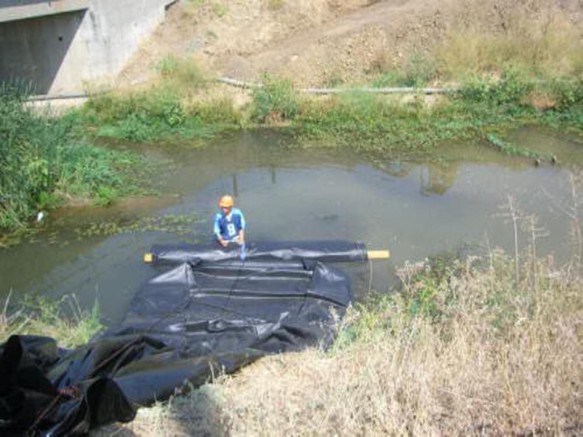 Davis, CA 2006