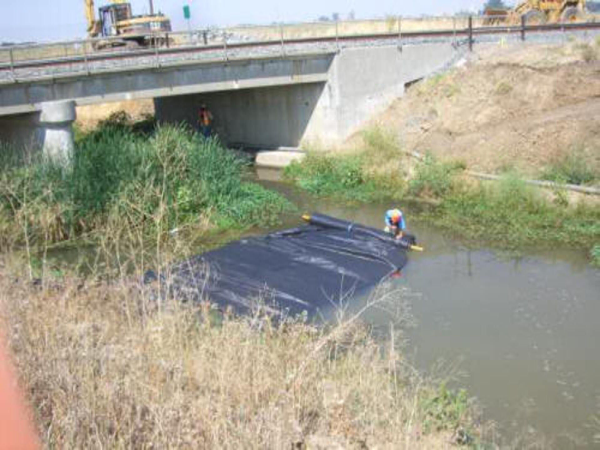 Davis, CA 2006